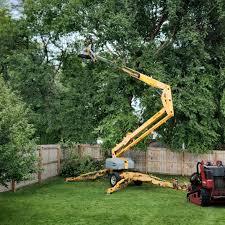 Best Lawn Maintenance Plans  in Fosston, MN